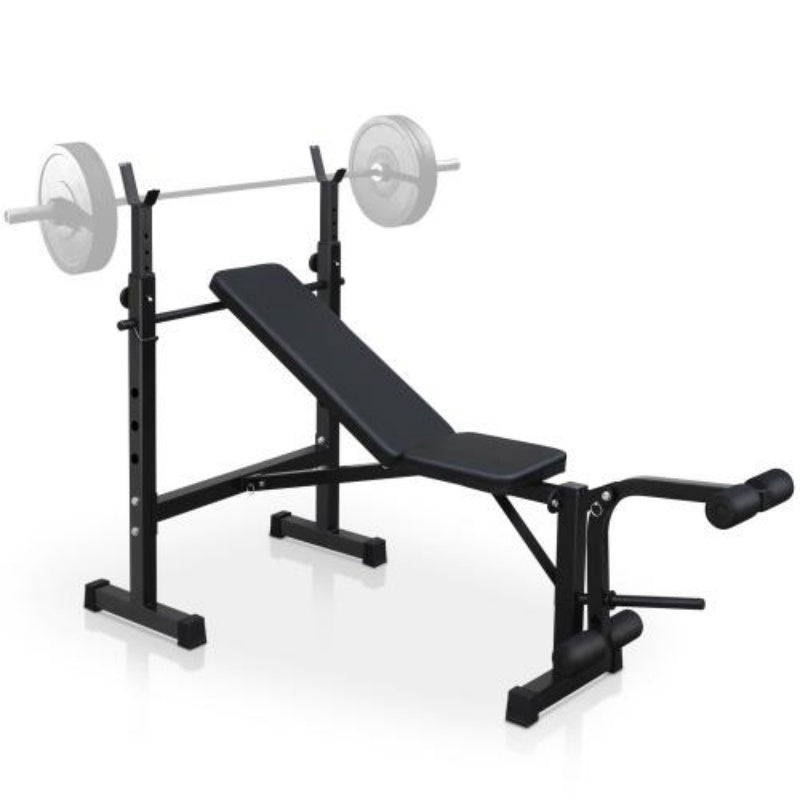 Olympic Weight Bench Full Body Workout