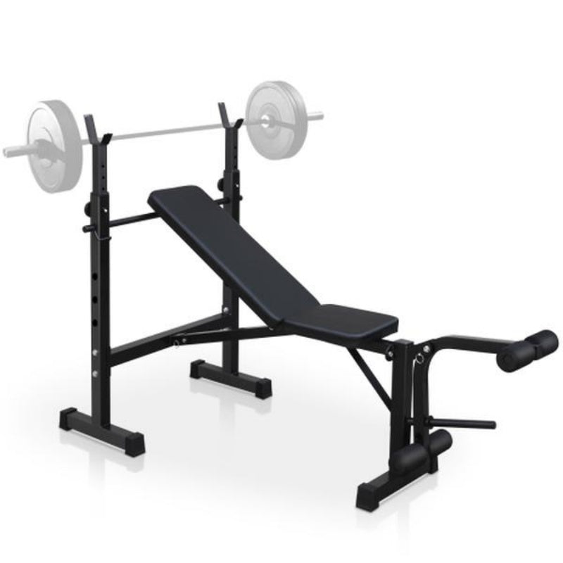 Olympic Weight Bench Full Body Workout